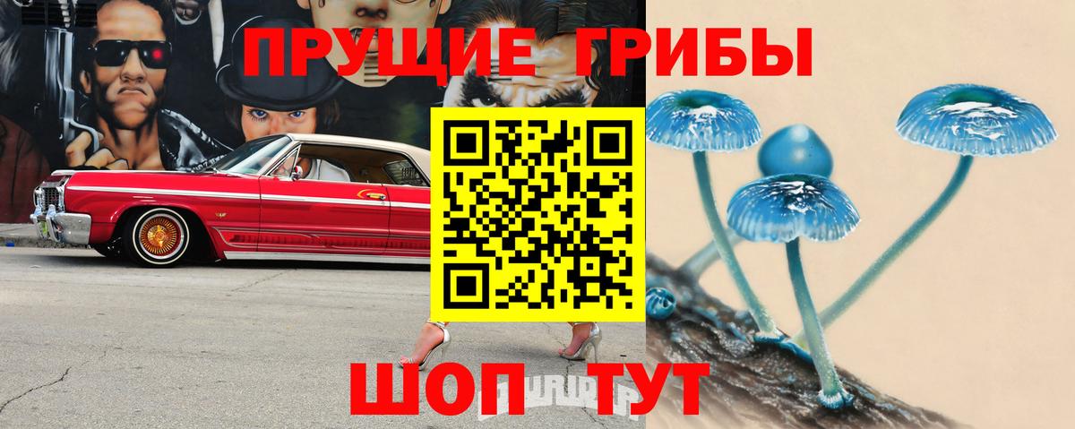 Галлюциногенные грибы GOLDEN TEACHER  Галлюциногенные грибы Cubensis  Вход с VPN  Орск 