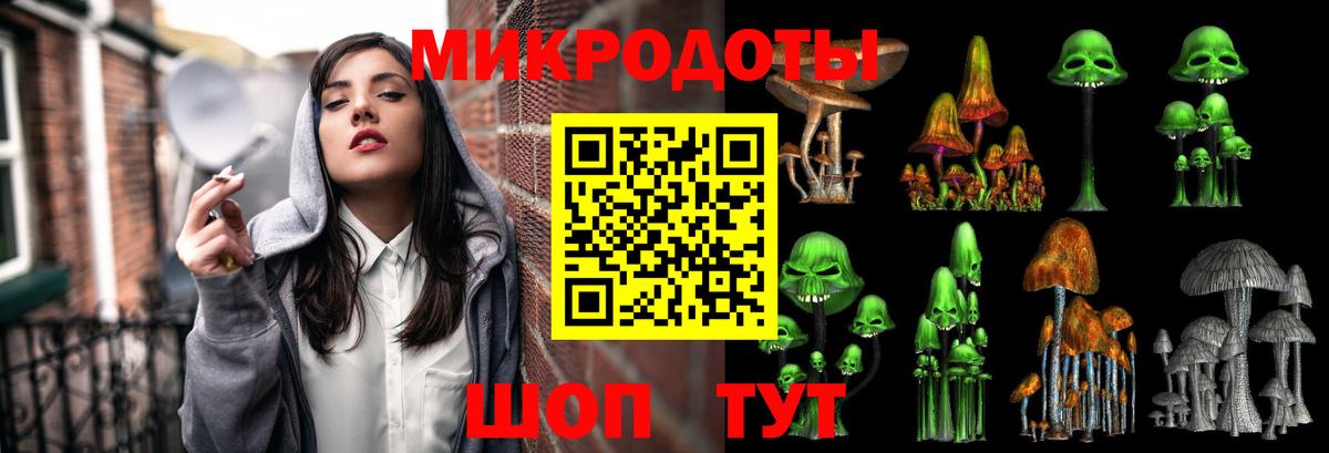 Псилоцибиновые грибы Psilocybine cubensis Орск